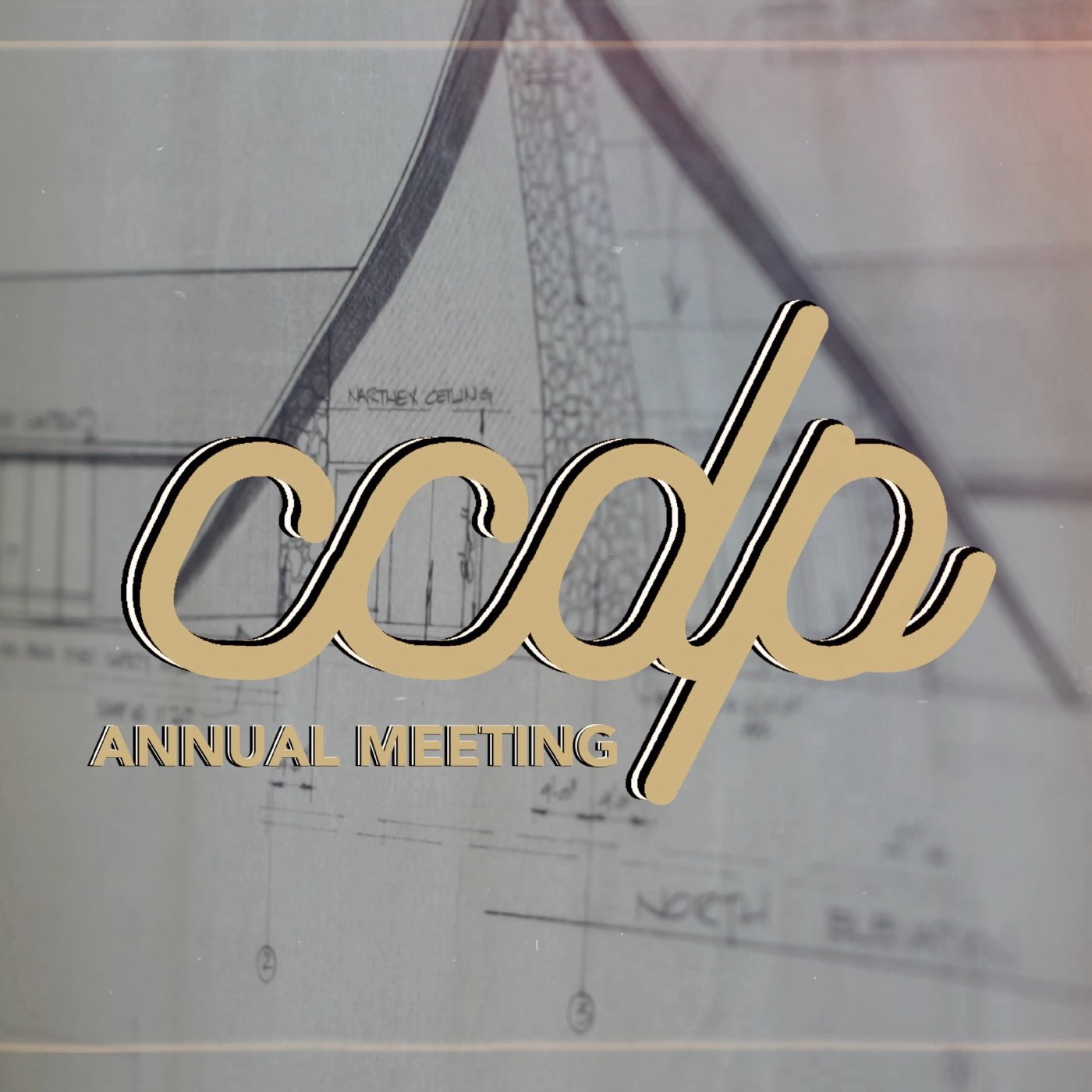 CCDP Messages