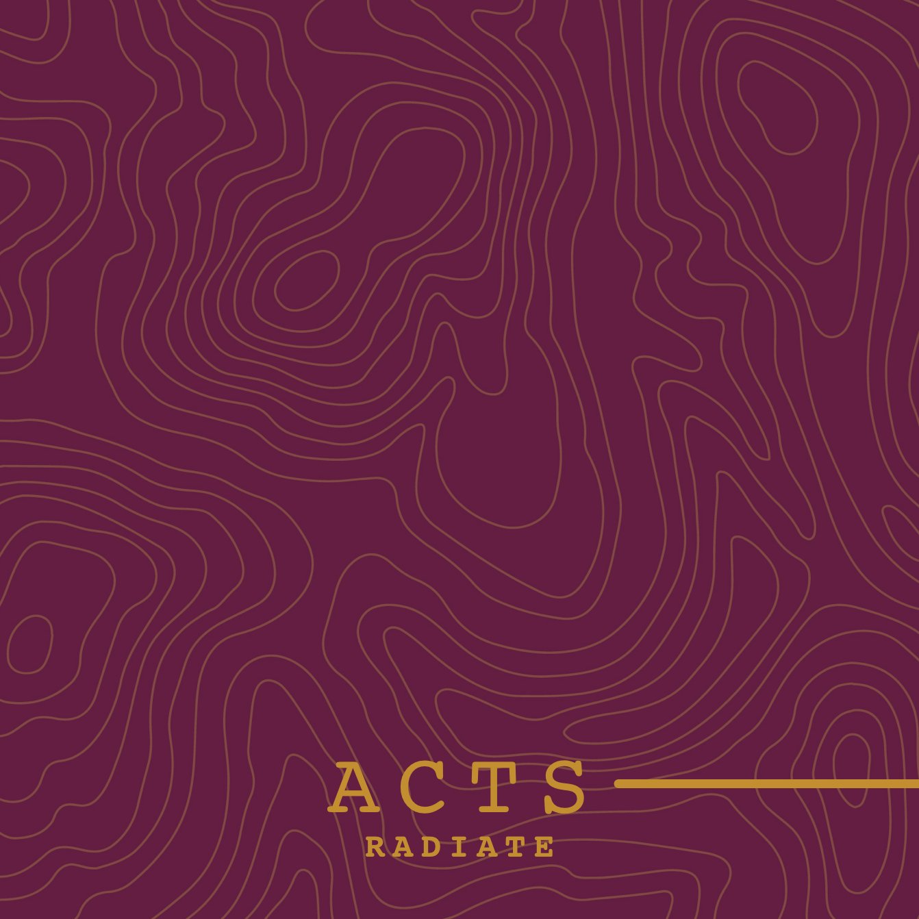 Mission in the Mess | Acts | Week 27 | Tyler Wilson | 4.19.20