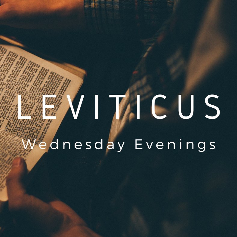Leviticus 18-20 episode artwork