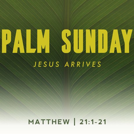 Palm Sunday | Jesus Arrives | Matthew 21:1-11 episode artwork