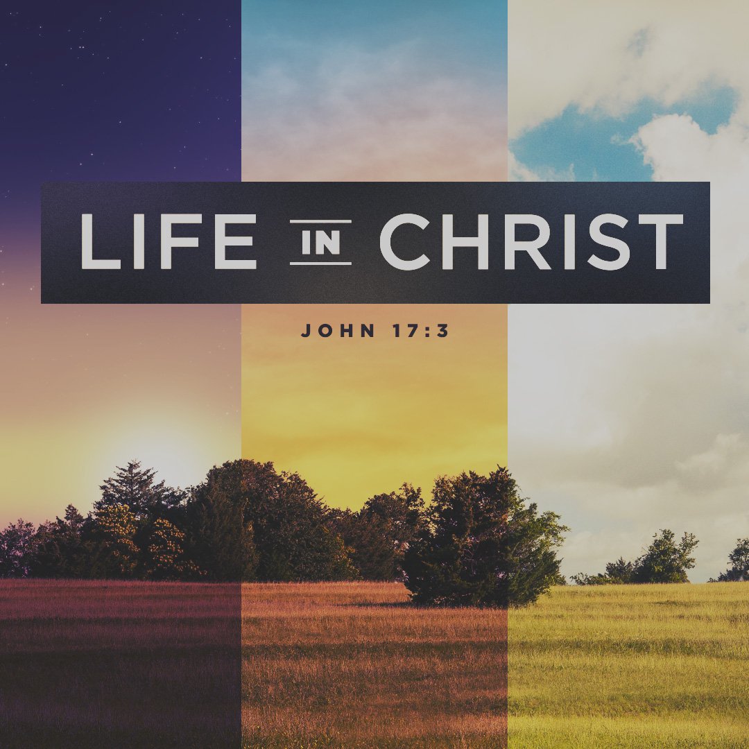 Life in Christ - Message episode artwork