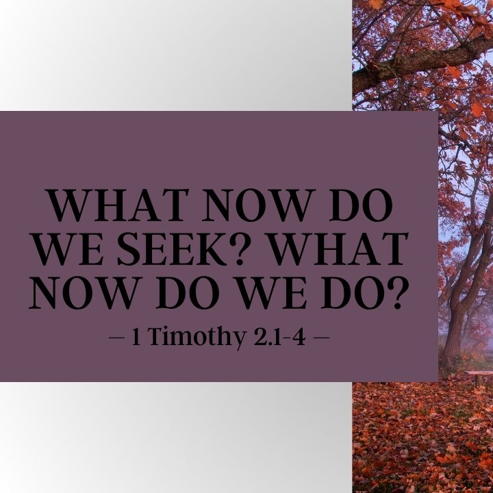 What Now Do We Seek? What Now Do We Do? episode artwork
