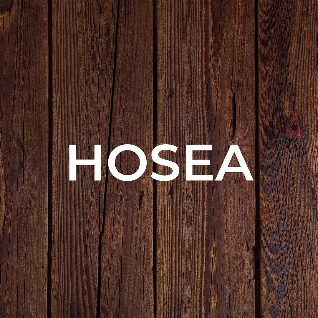 Hosea 4:1-6:3 episode artwork