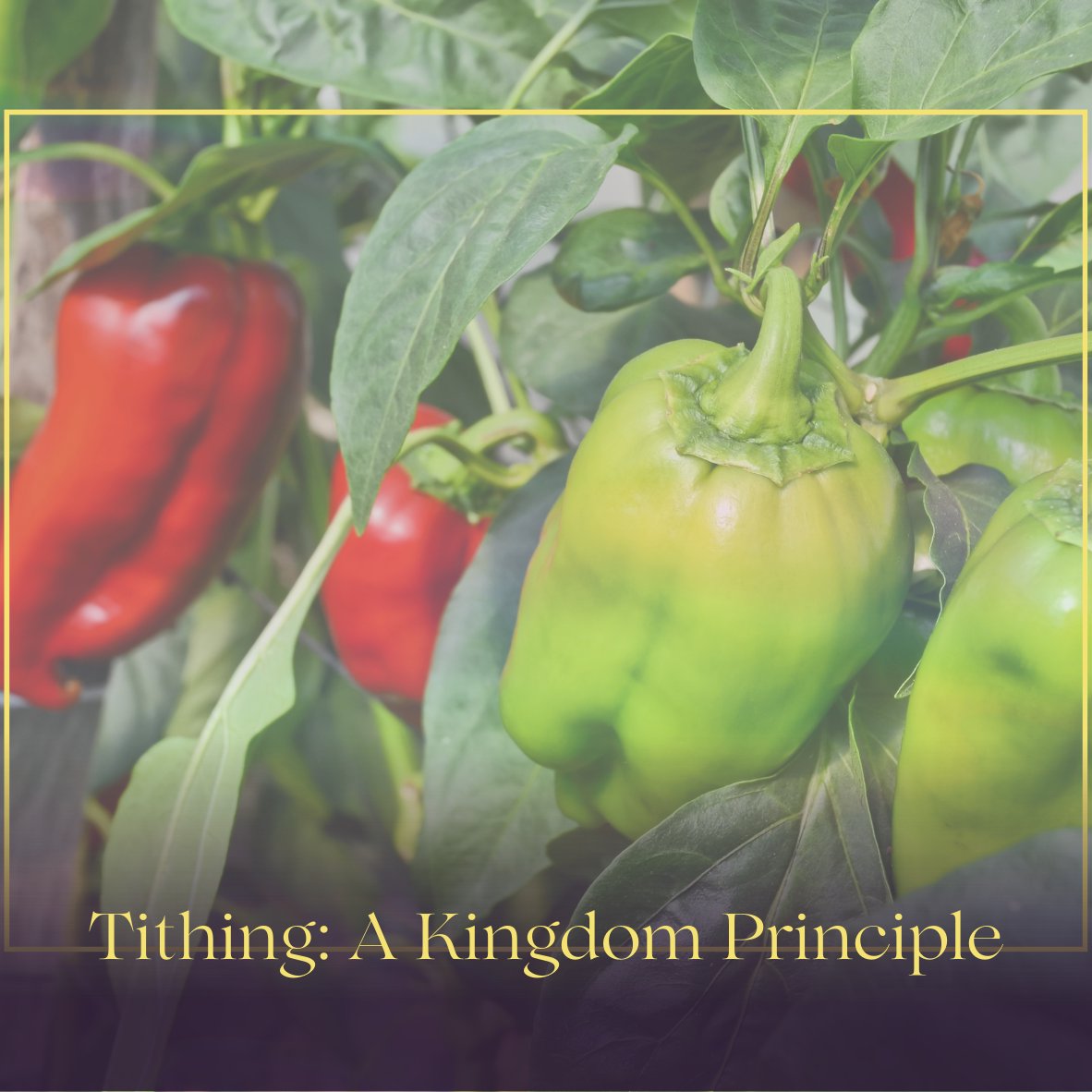 Tithing: A Kingdom Principle Tithing: A Kingdom Principle