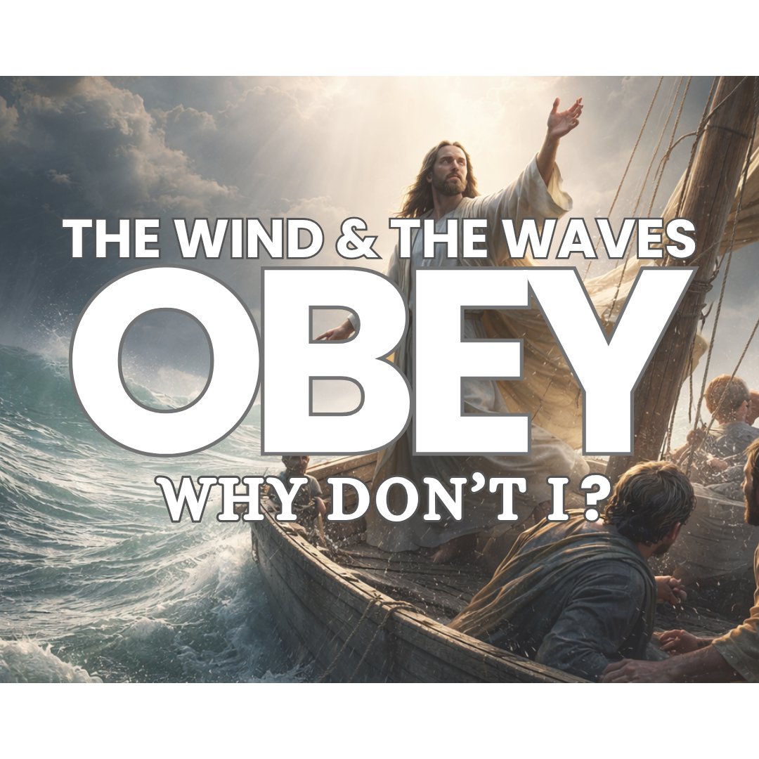 The wind and the waves obey... Why don't I? episode artwork