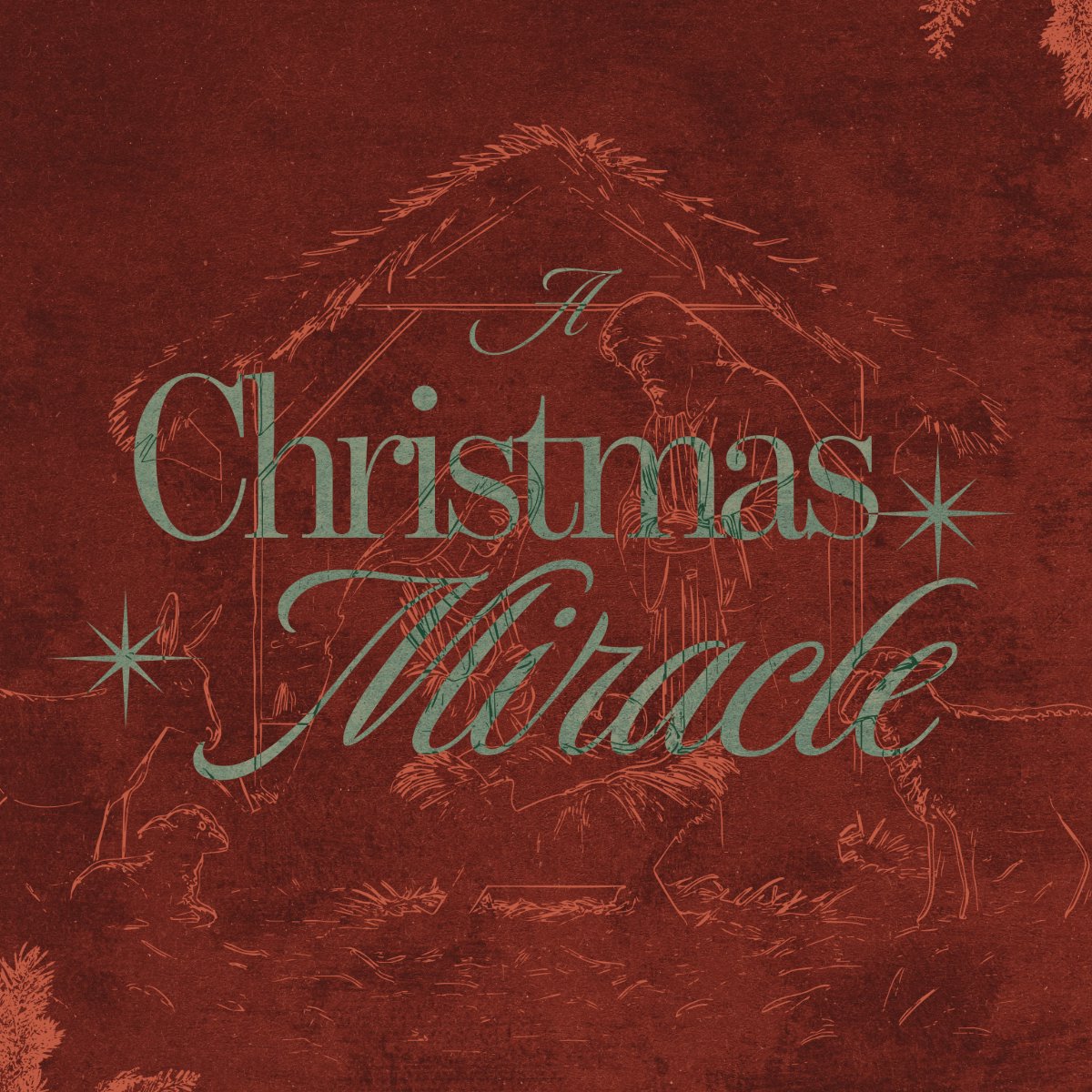 A Christmas Miracle