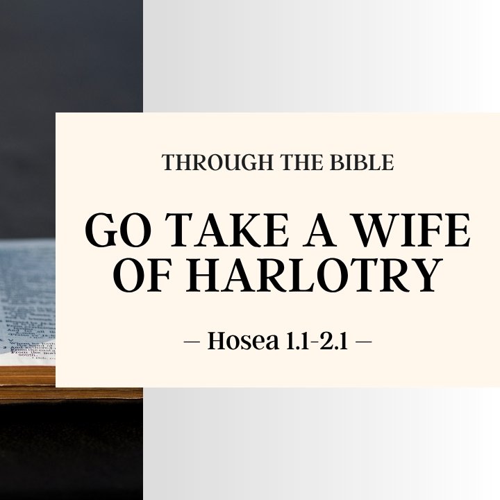 Go Take a Wife of Harlotry | Through the BibleThrough the Bible episode artwork