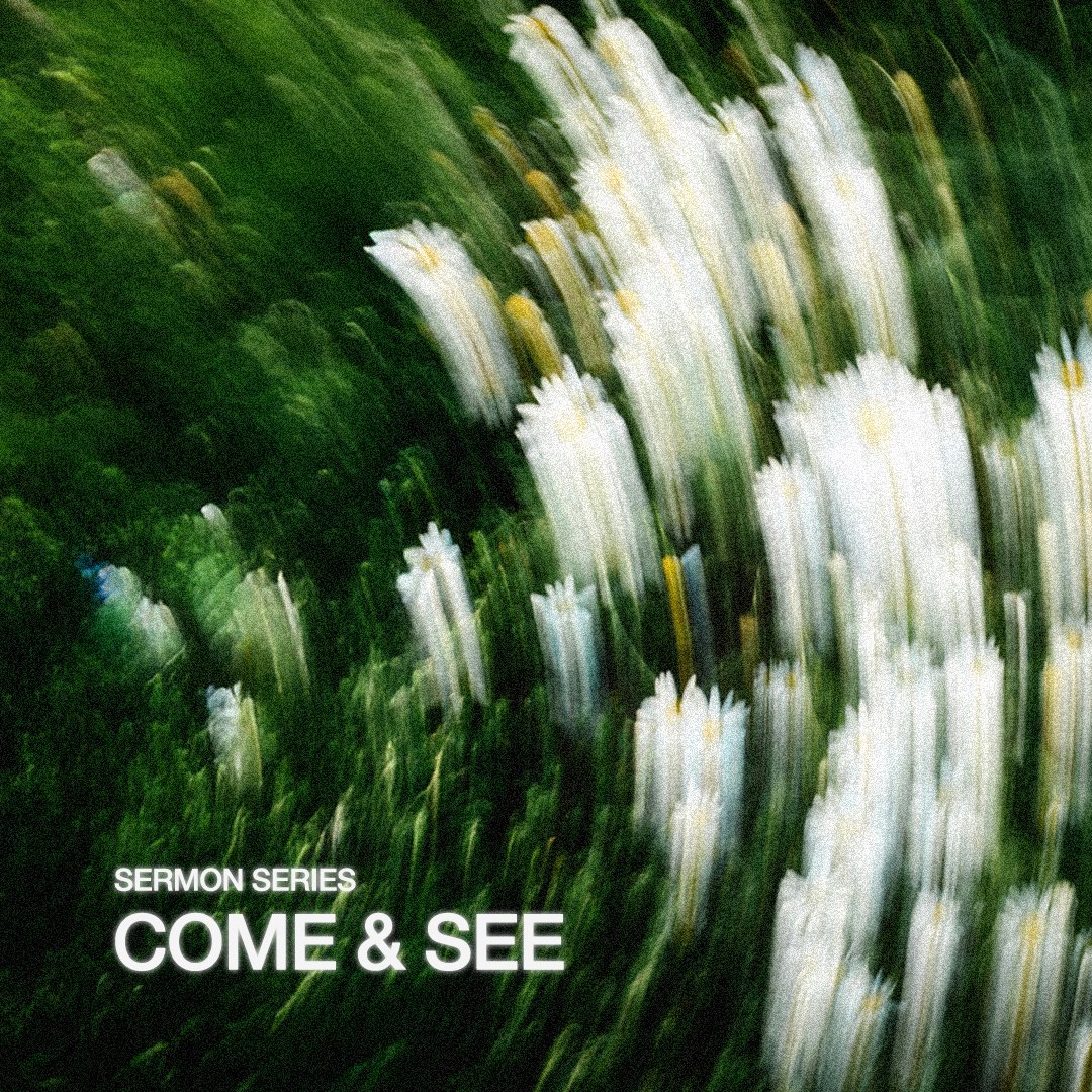Come and See - Part 2 episode artwork