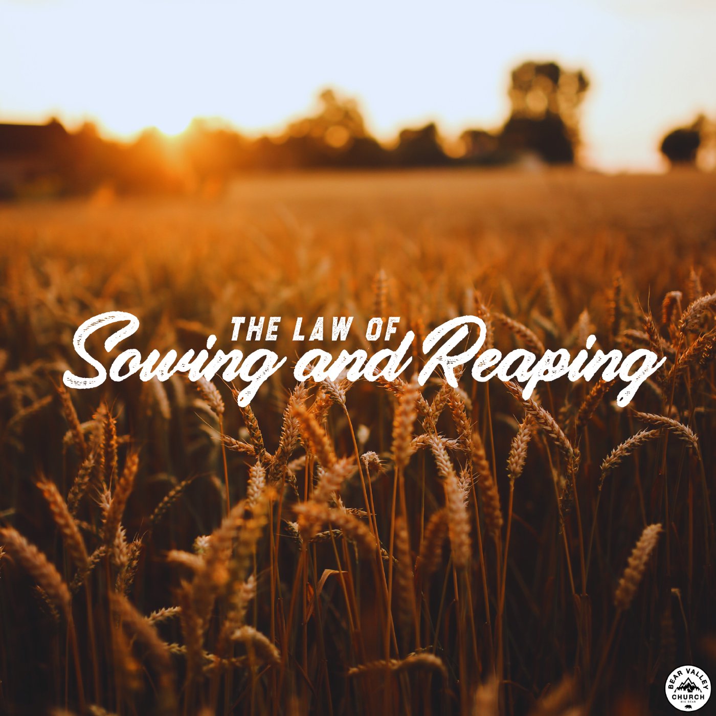 The Law of Sowing and Reaping episode artwork