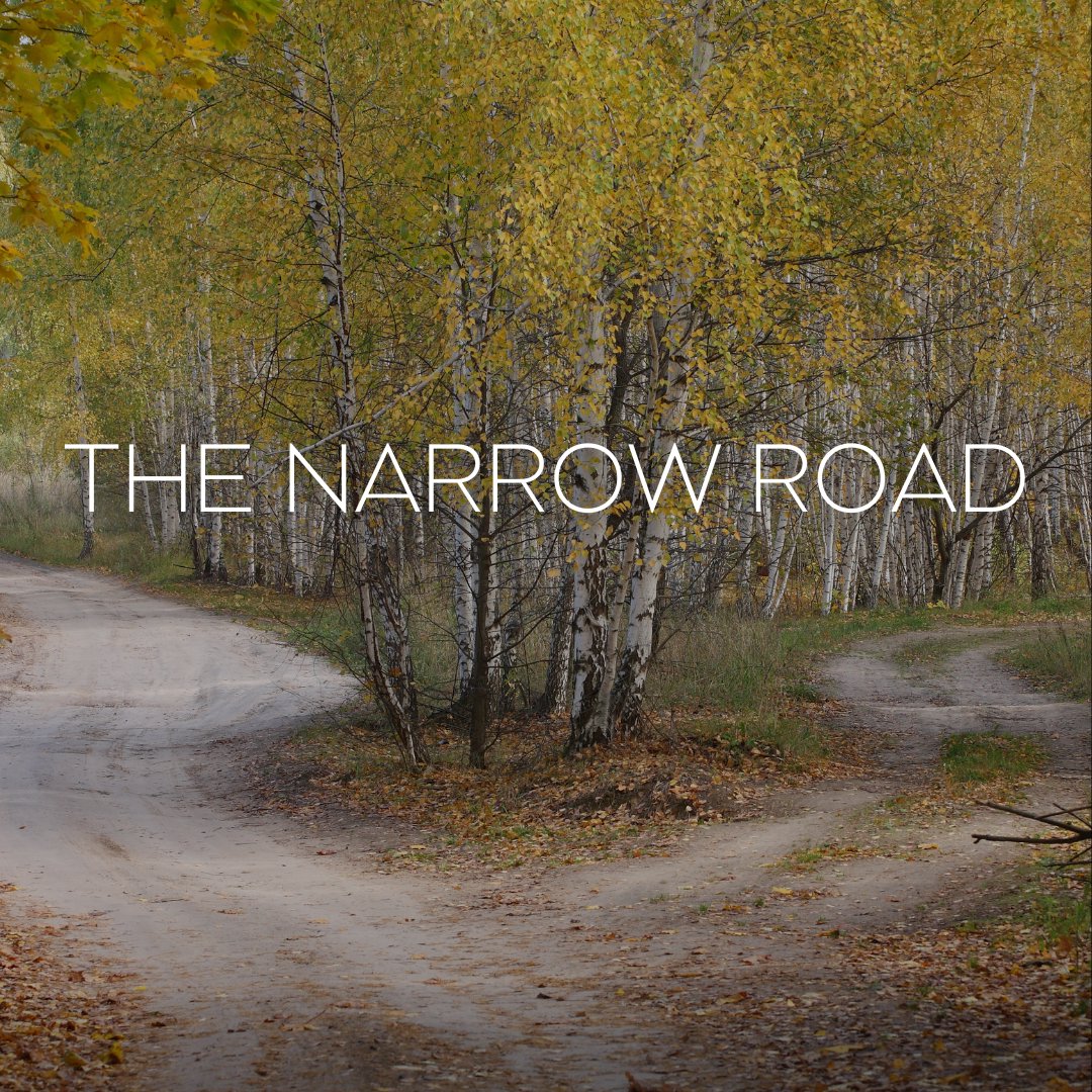 The Narrow Road episode artwork