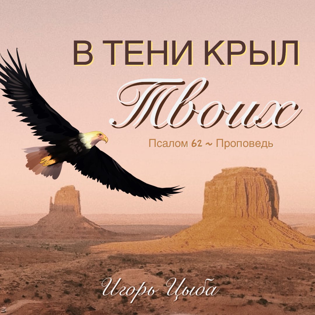 песня в тени крыл