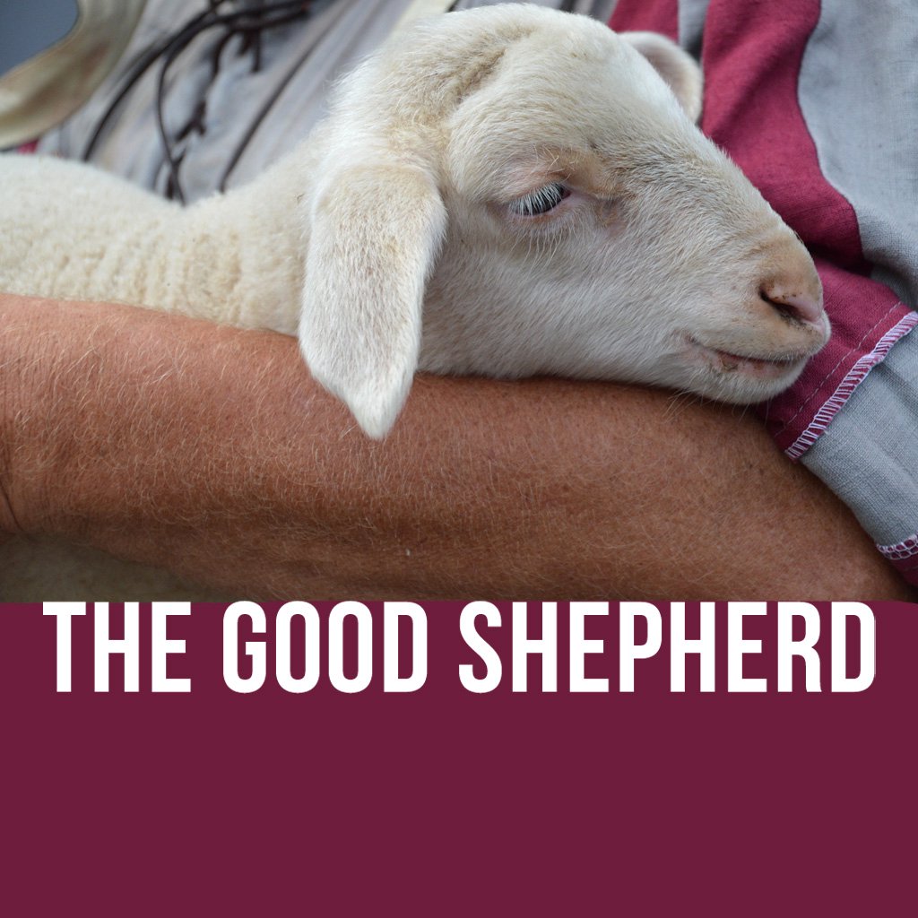 The Good Shepherd: The Image Appears