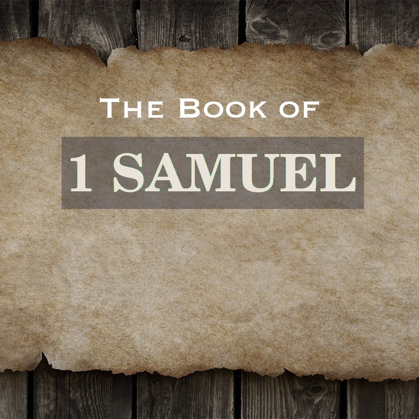1 Samuel 17 - February 26, 2012 episode artwork