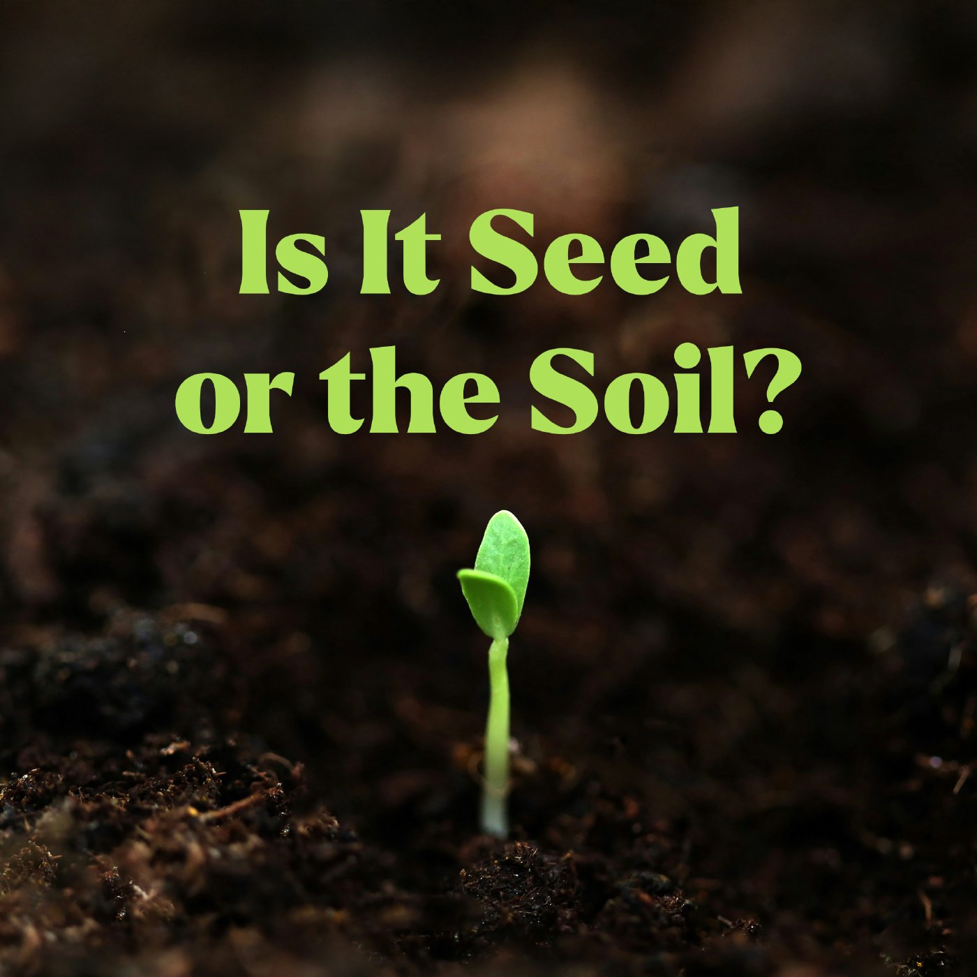 Is It Seed or the Soil?