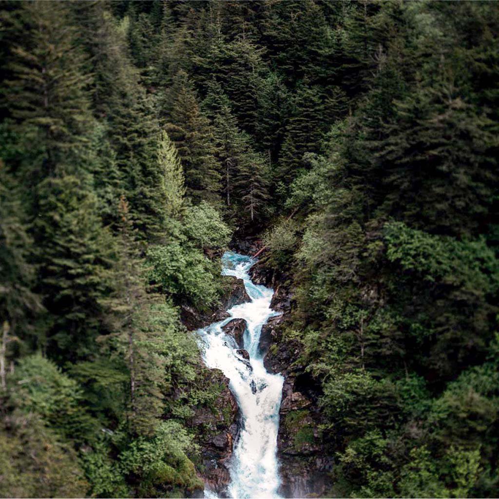 Free to Endure to the End Free to Endure to the End