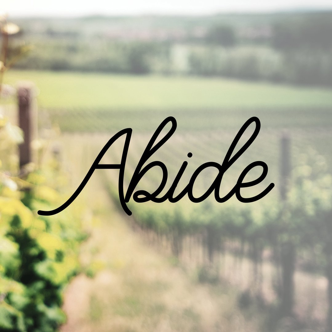 Abide episode artwork