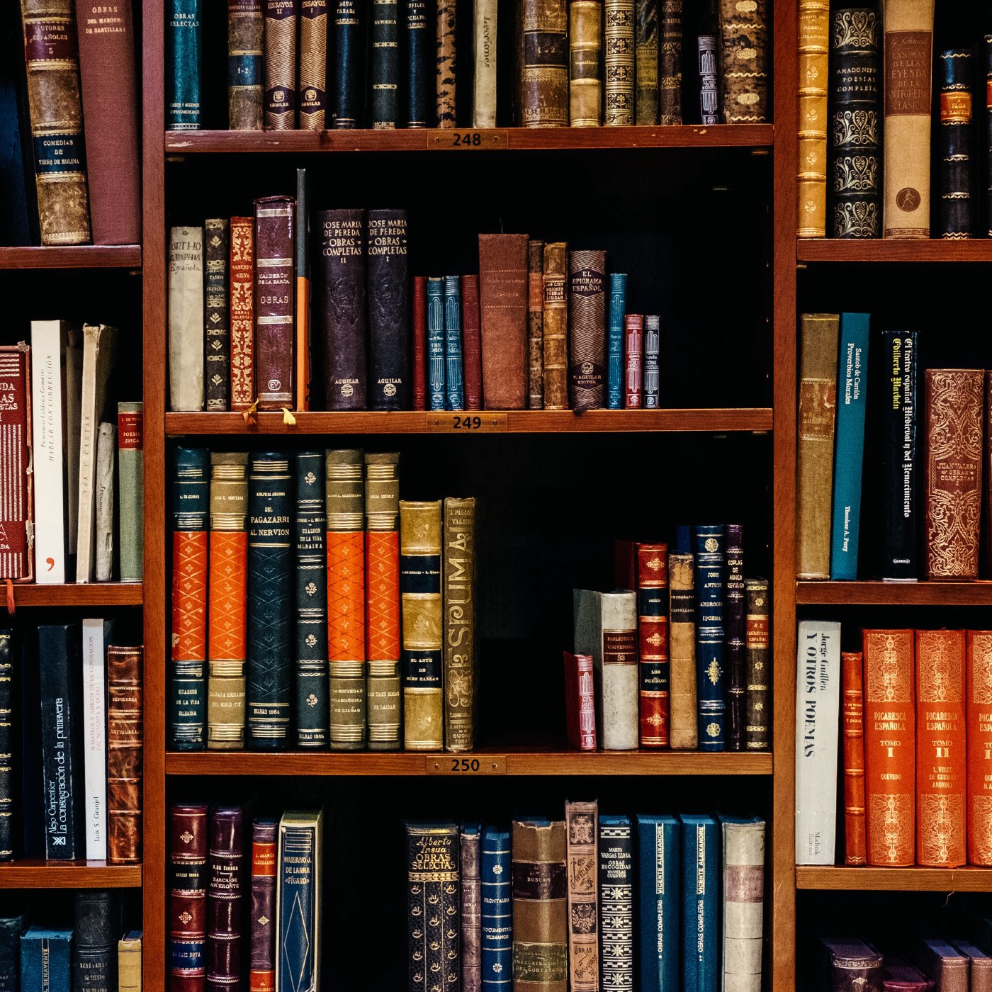 Faber Institute Podcast
