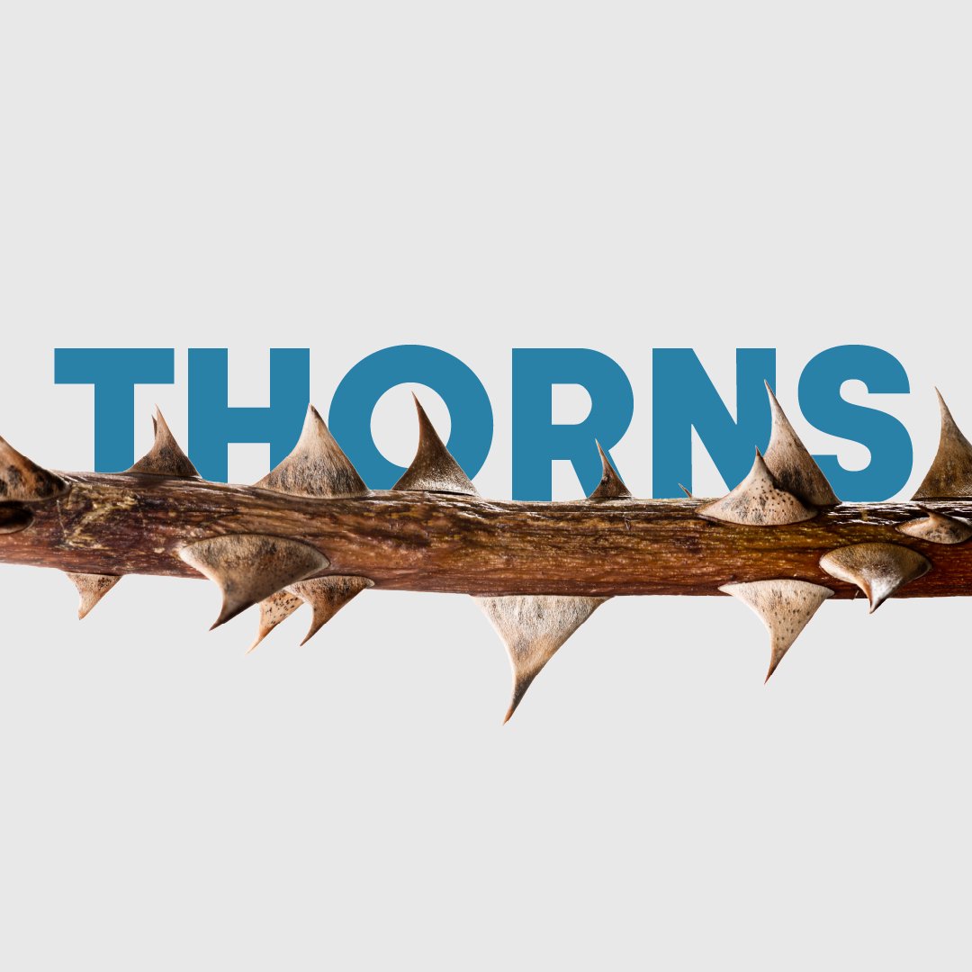 Thorns episode artwork