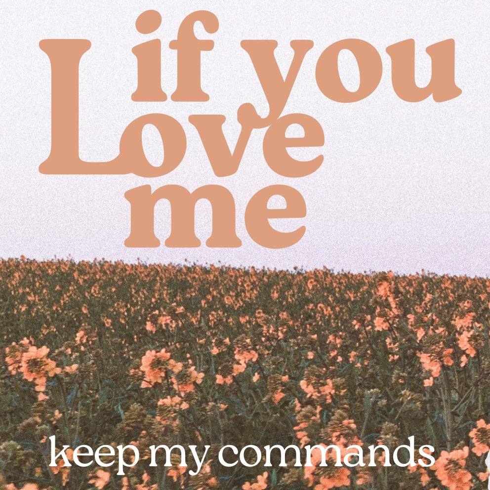 Count the Cost of Discipleship