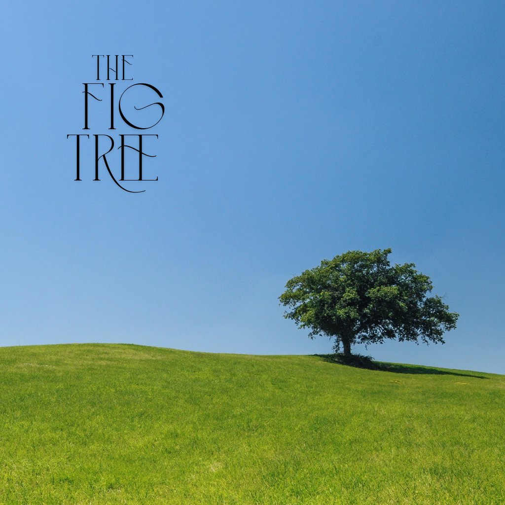 The Fig Tree