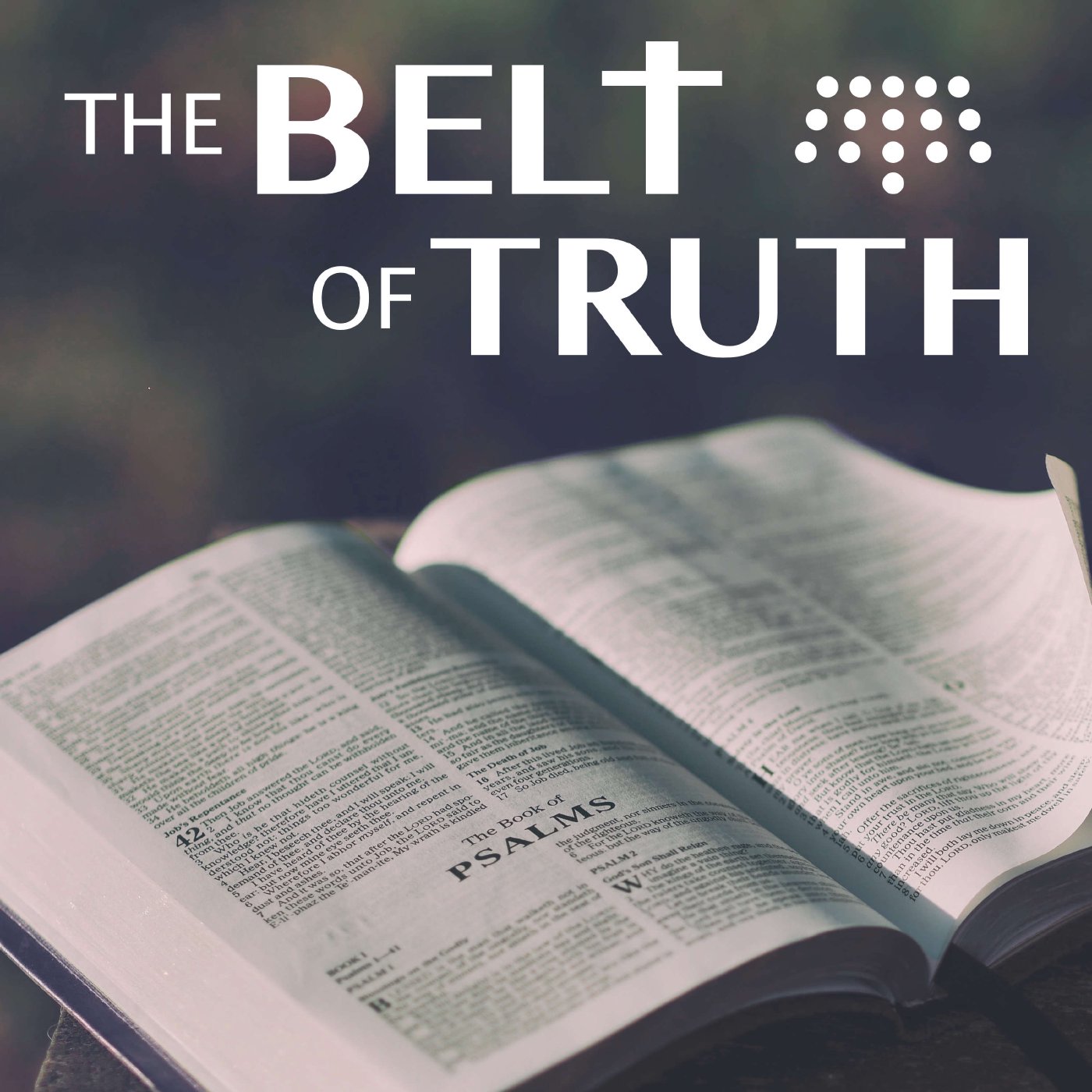 The Belt of Truth: Matthew 8:14-27 The Belt of Truth: Matthew 8:14-27