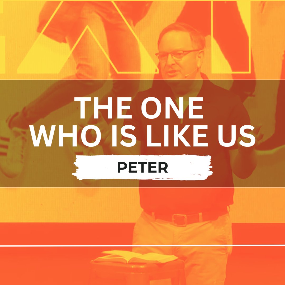 The One Like Us episode artwork