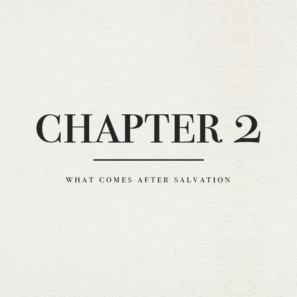 Chapter 2, What Comes After Salvation episode artwork