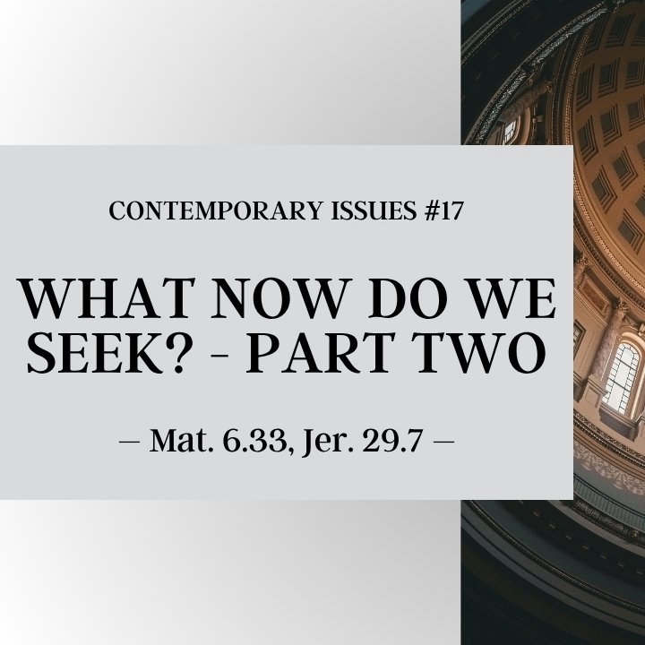 What Now Do We Seek? | Contemporary Issues #17 episode artwork