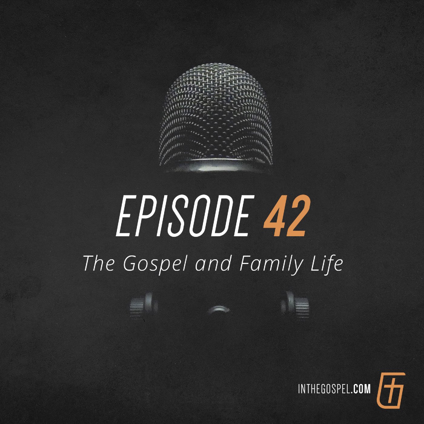 Episode 42: The Gospel and Family Life (Interview with Bob Lepine)