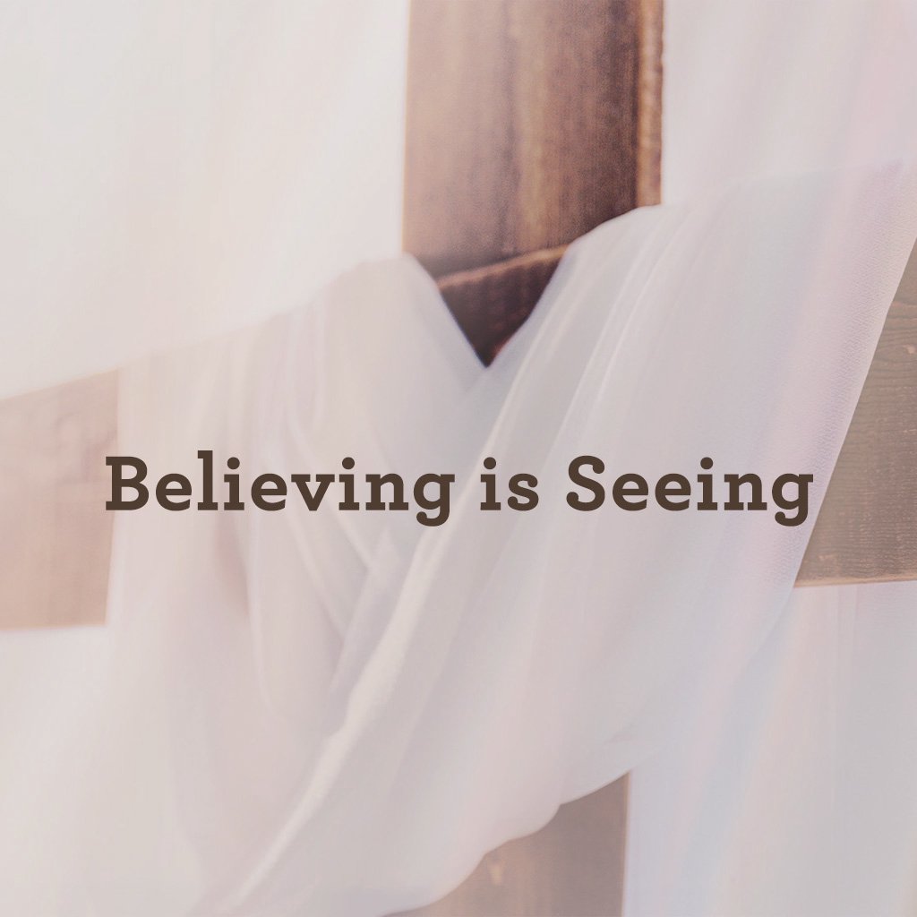 Believing is Seeing episode artwork