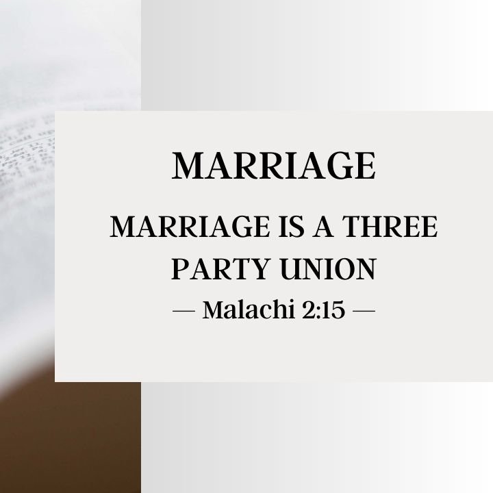 Marriage Is a Three Party Union | Marriage 2014 episode artwork