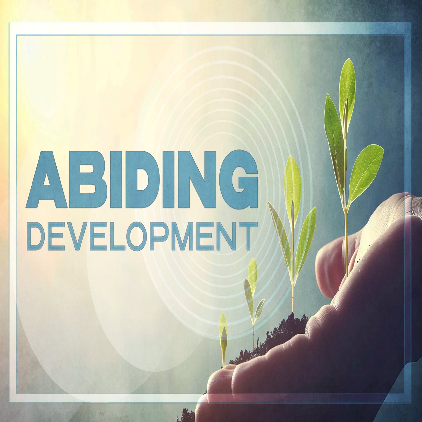 Abiding Development #3