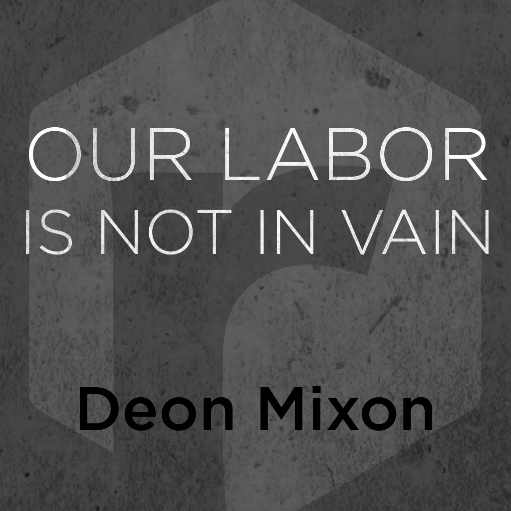 Our Labor Is Not In Vain episode artwork