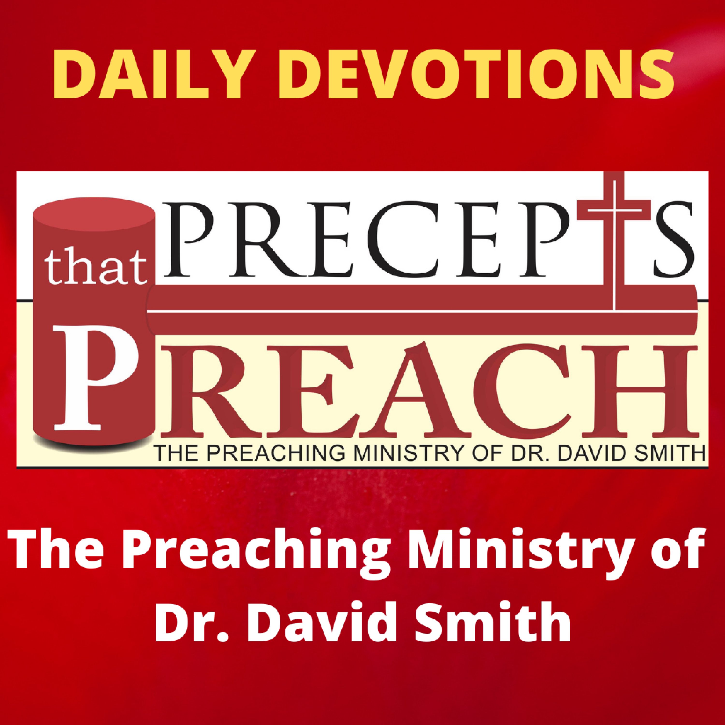 Precepts That Preach - Daily Devotion cover art
