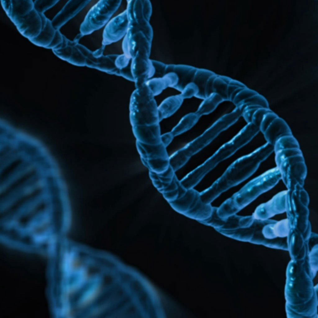 God's DNA
