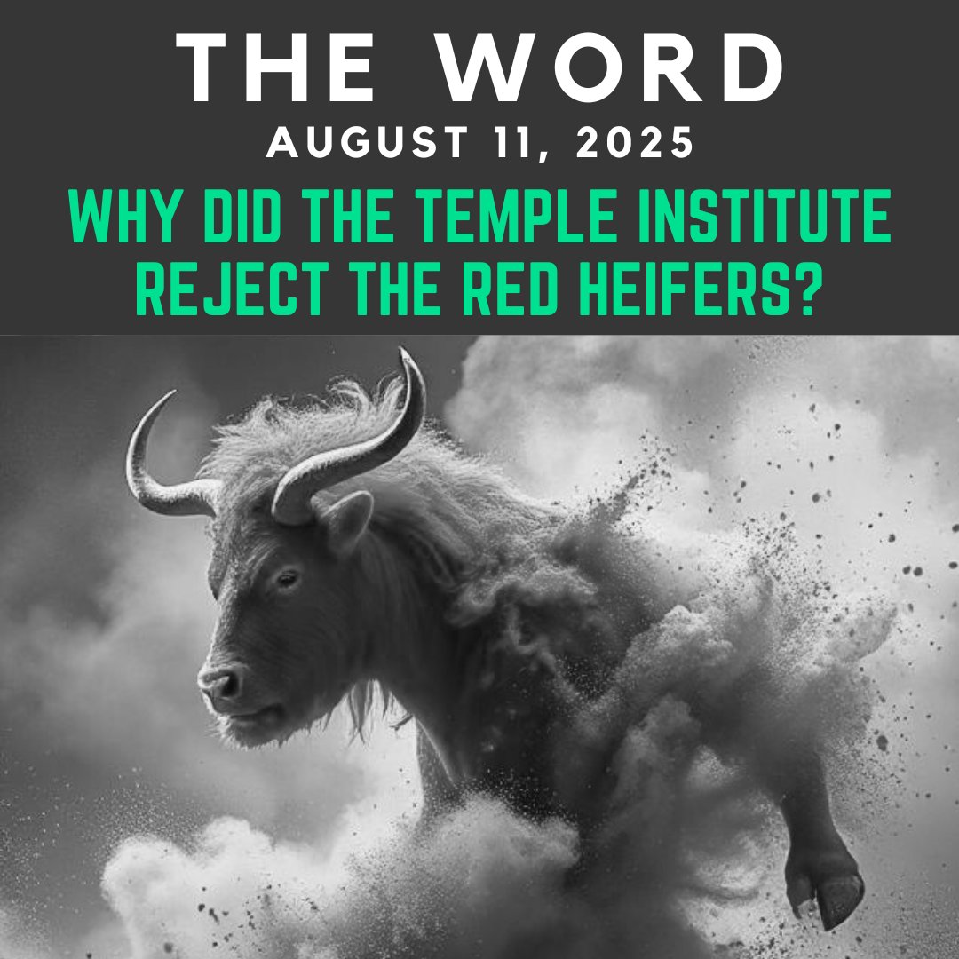 The Word: August 11th, 2025