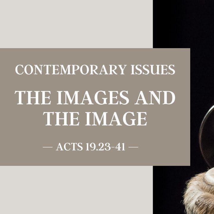 The Images and The Image episode artwork