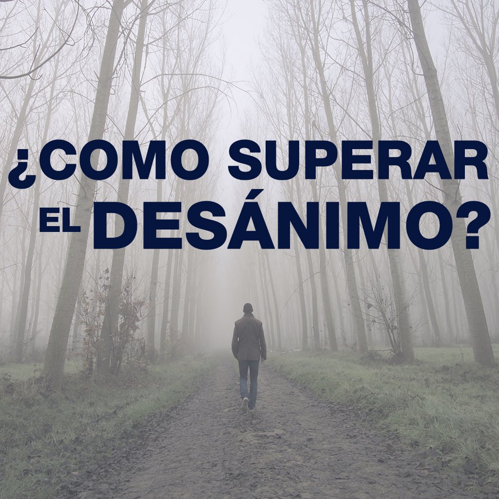 Iglesia Pentecostal Camino A La Vida Eterna