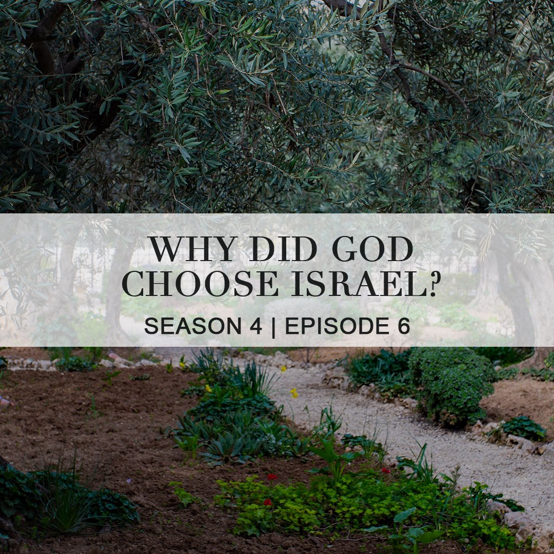 Why Did God Choose Israel? episode artwork