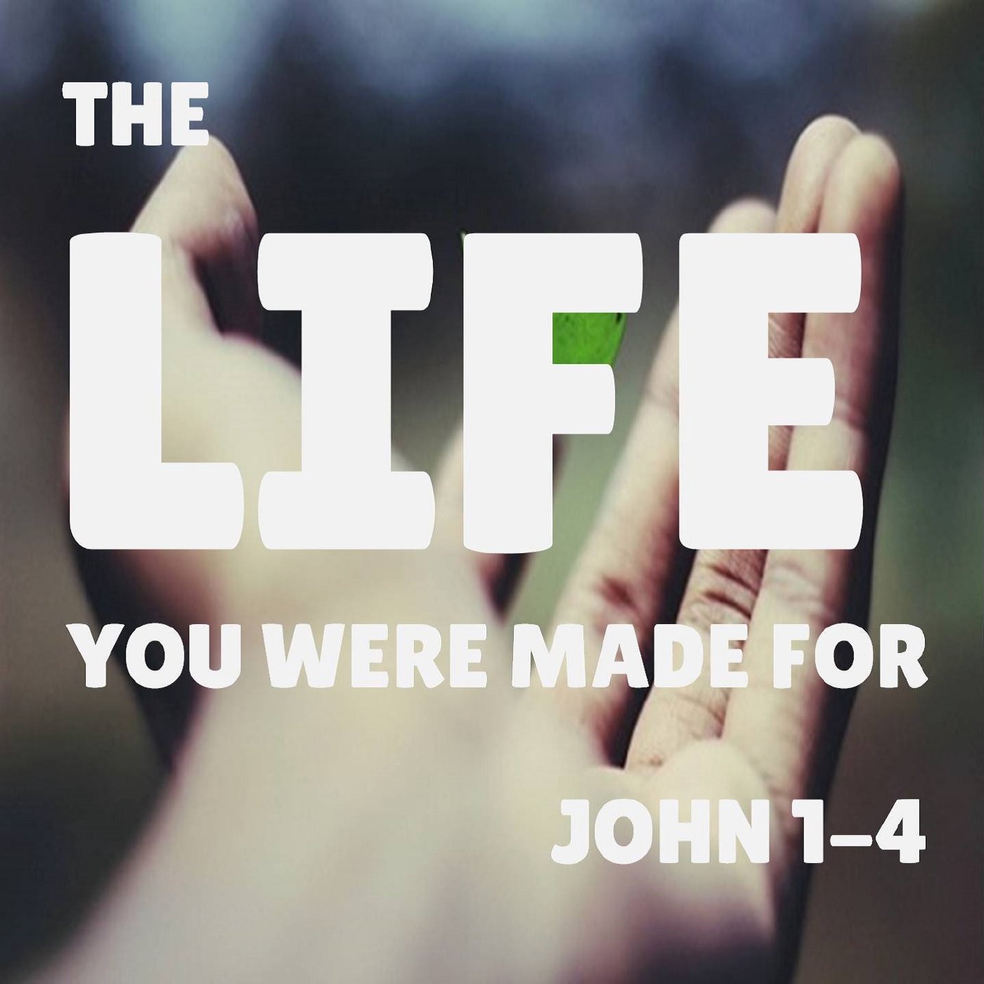 Where Does Life Come From?