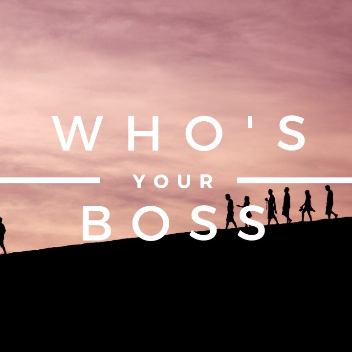 Who's Your Boss episode artwork