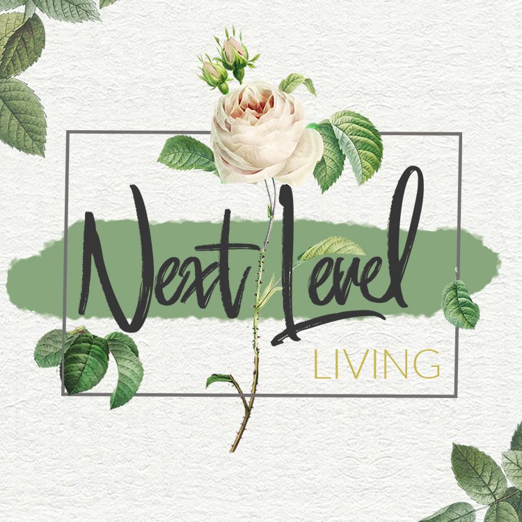 Next Level Leaning episode artwork