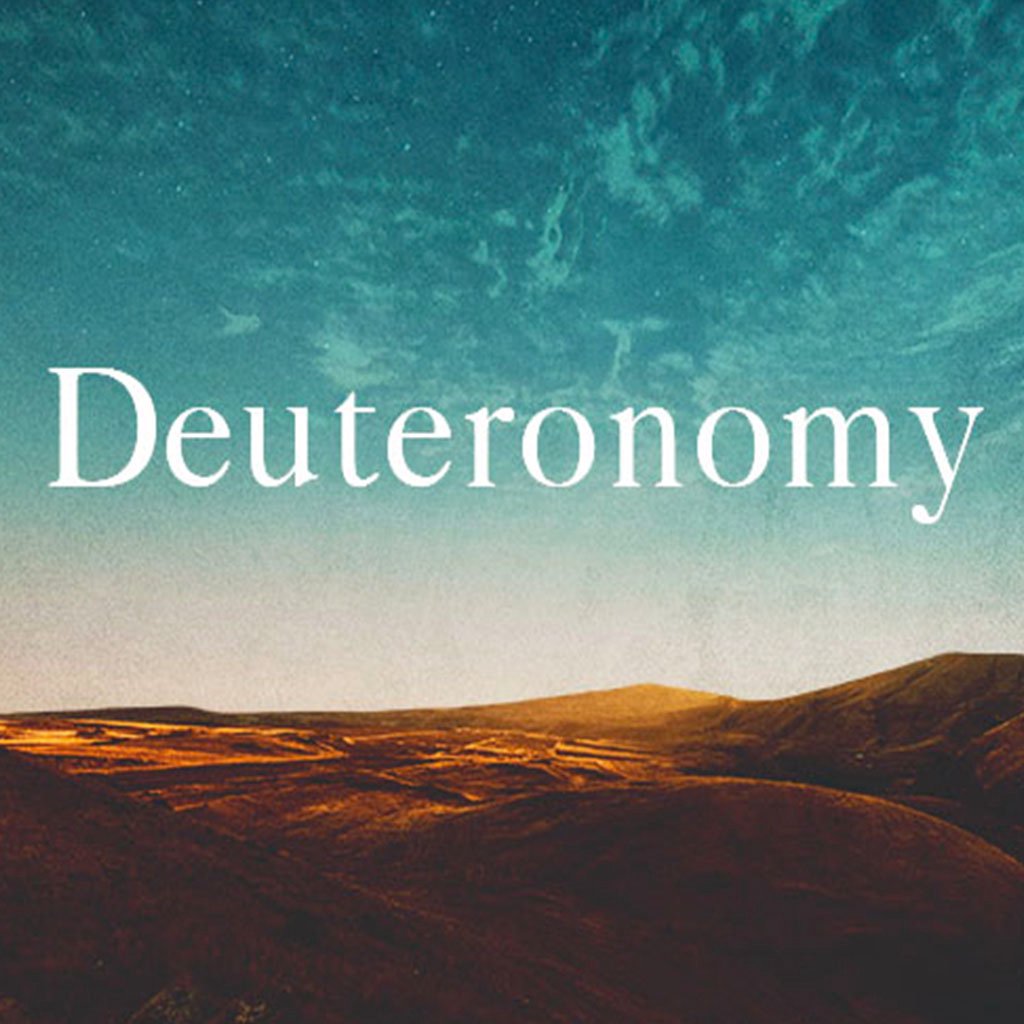 Deuteronomy 28:16-30:20