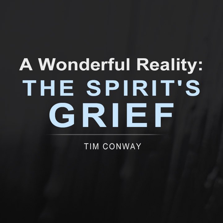 A Wonderful Reality: The Spirit's Grief episode artwork