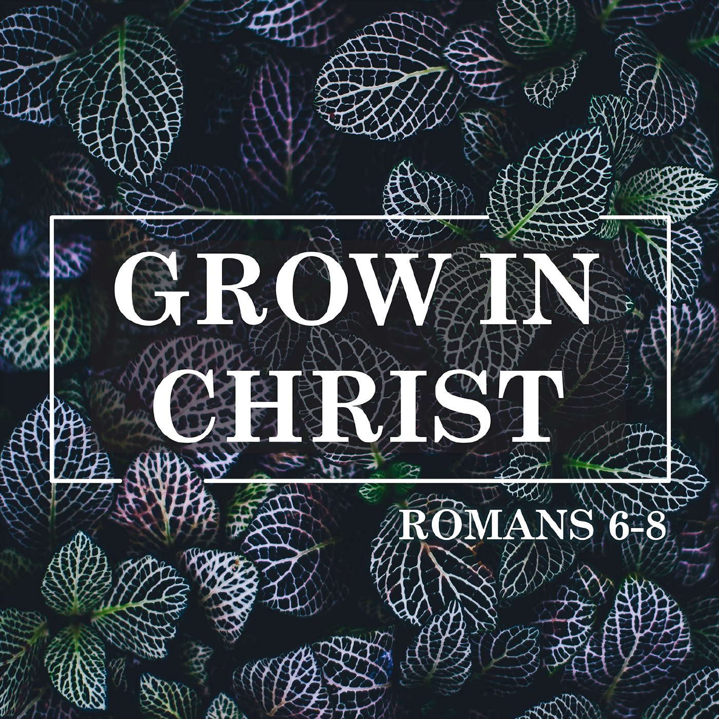 How Does The Holy Spirit Help Me?