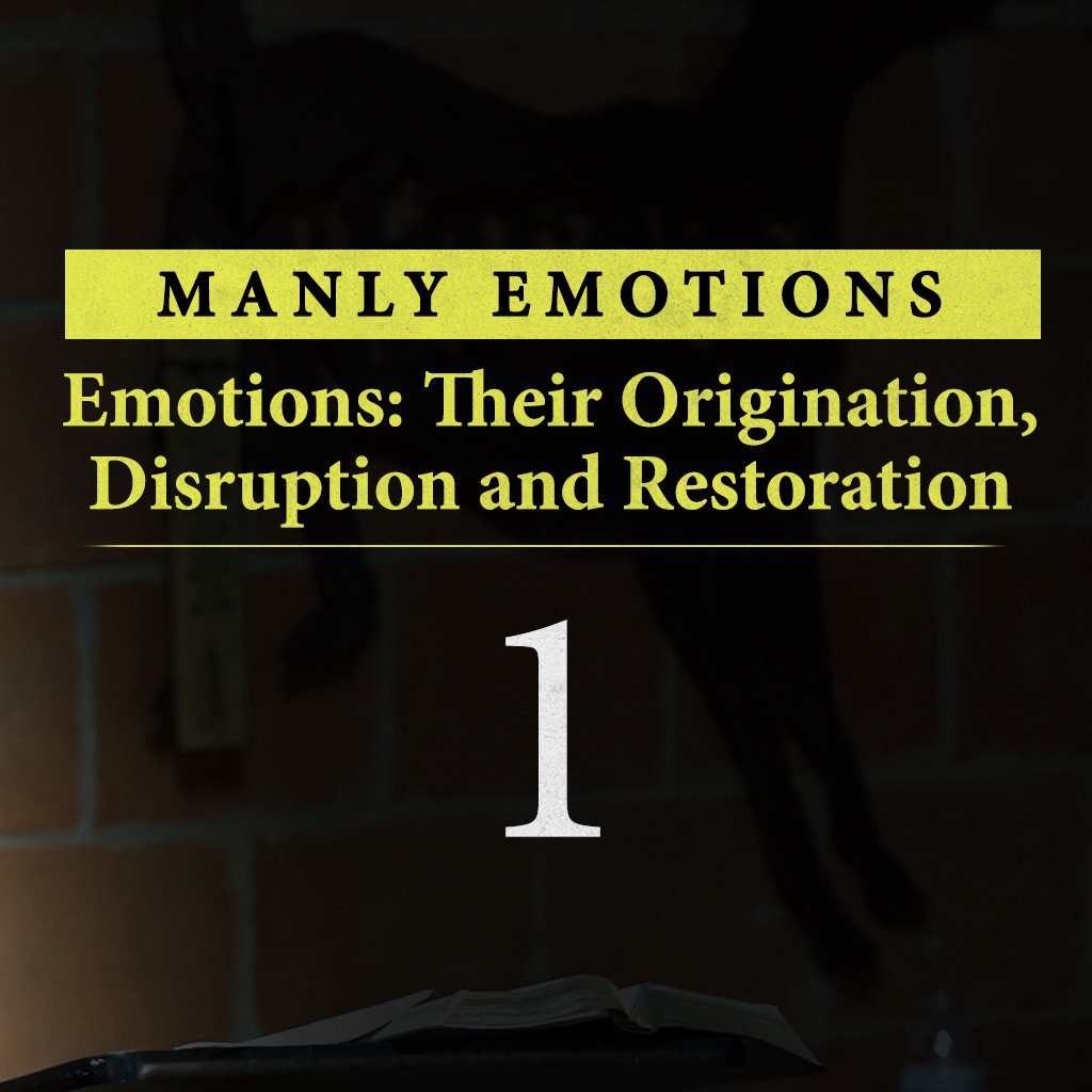 Emotions: Their Origination, Disruption and Restoration episode artwork