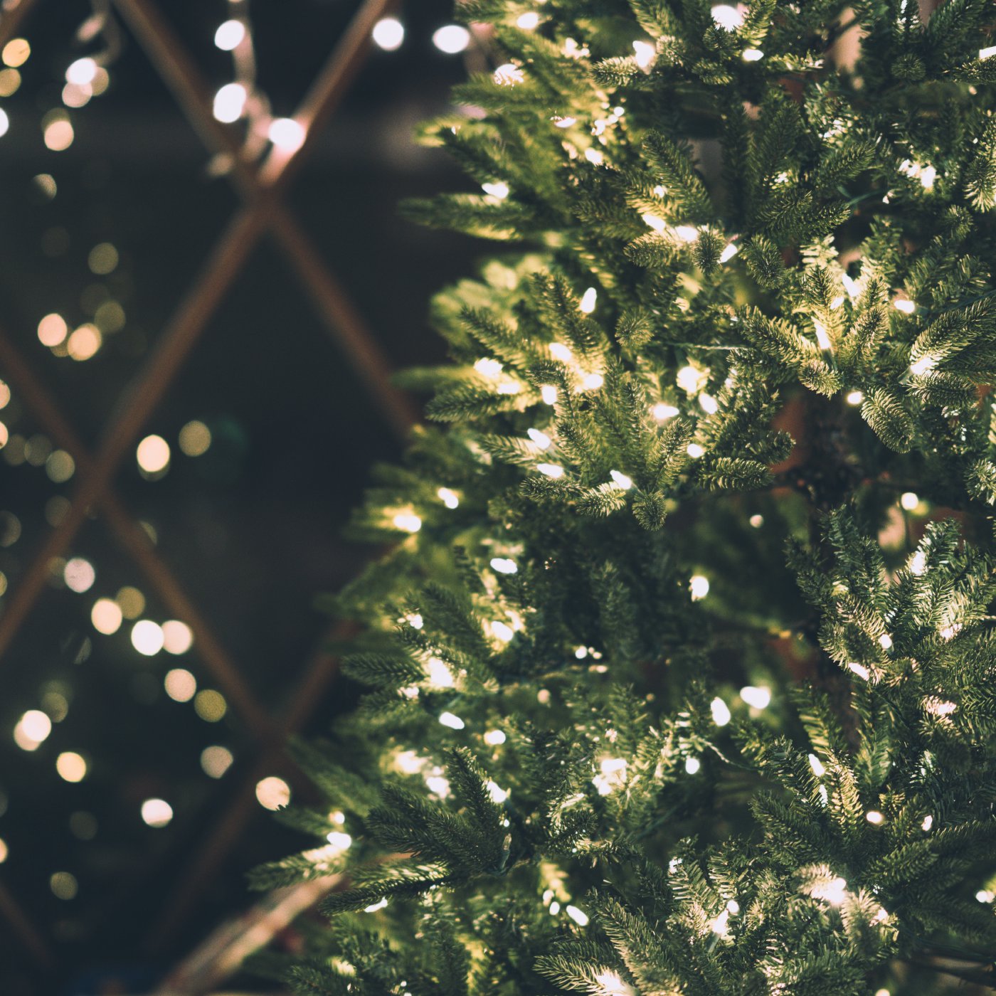Leaning into Advent: Celebrating God's Goodness While Longing for Eternity episode artwork