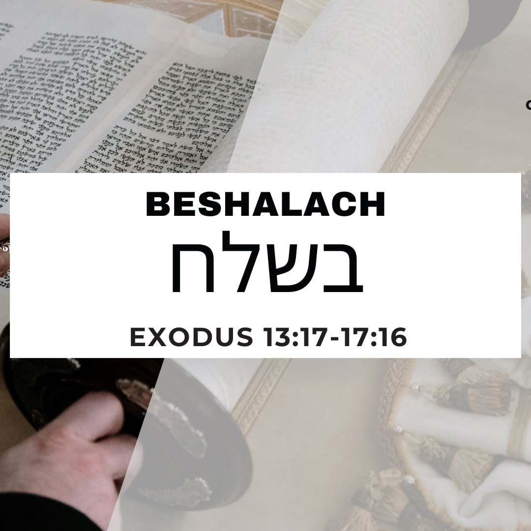 CMC Parasha Beshalach 5786