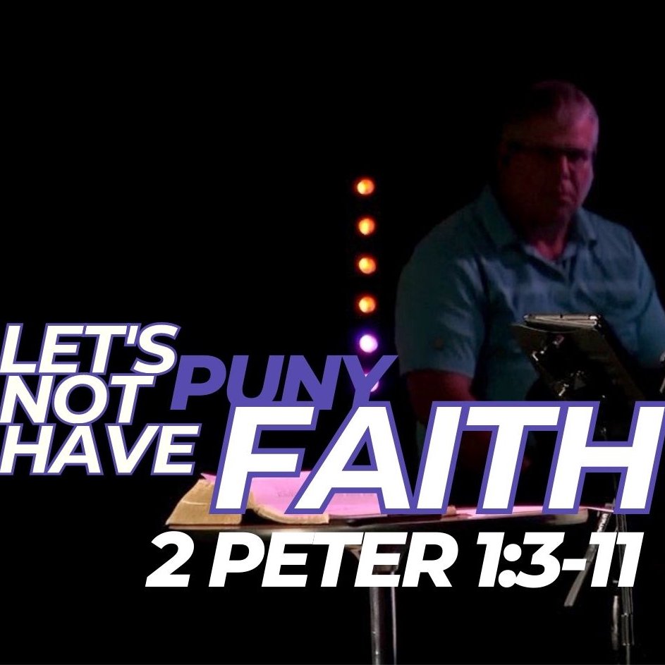 Let's Not Have Puny Faith episode artwork