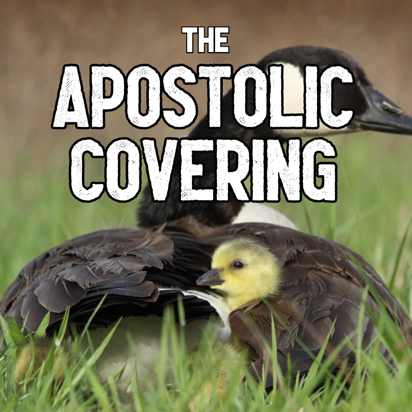 The Apostolic Covering episode artwork